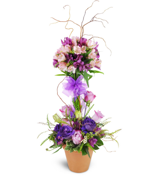 Elegant Embrace™ Topiary