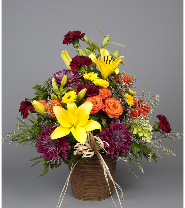 Vibrant Garden Pail
