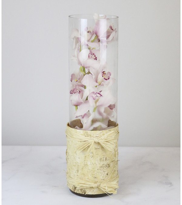 Cymbidium Vase