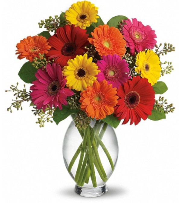 Teleflora's Gerbera Brights