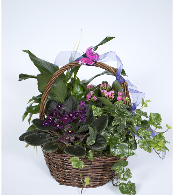 Blooming Basket of Joy