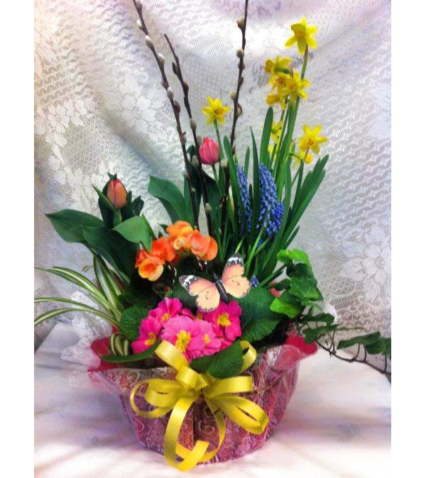 Spring Planter