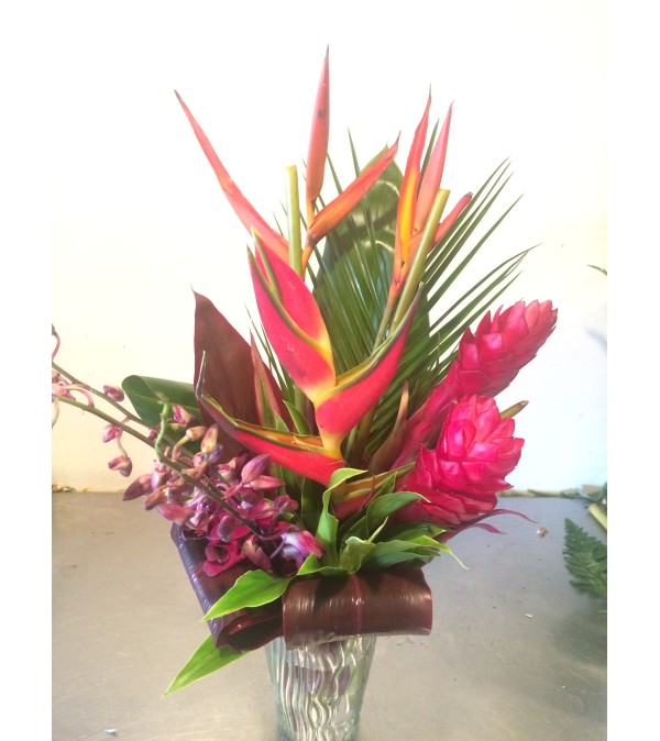 InstaGram Tropical Special