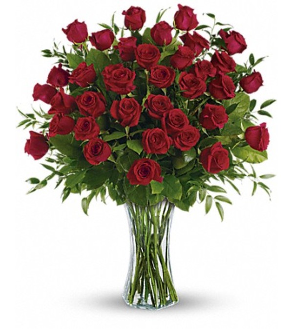 36 Breathtaking Roses