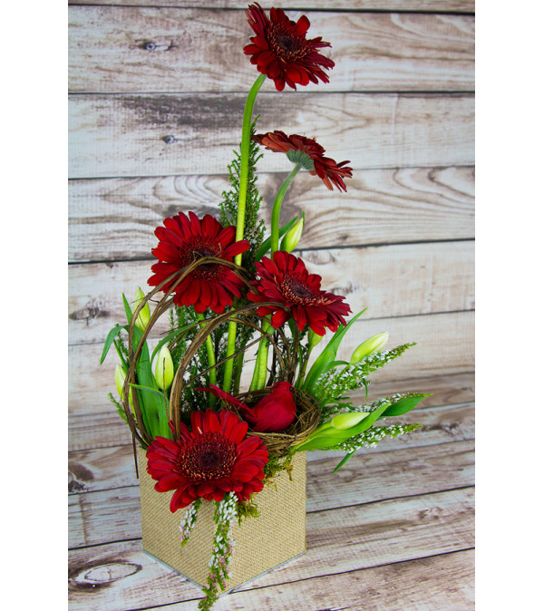 Fields of Gerbera