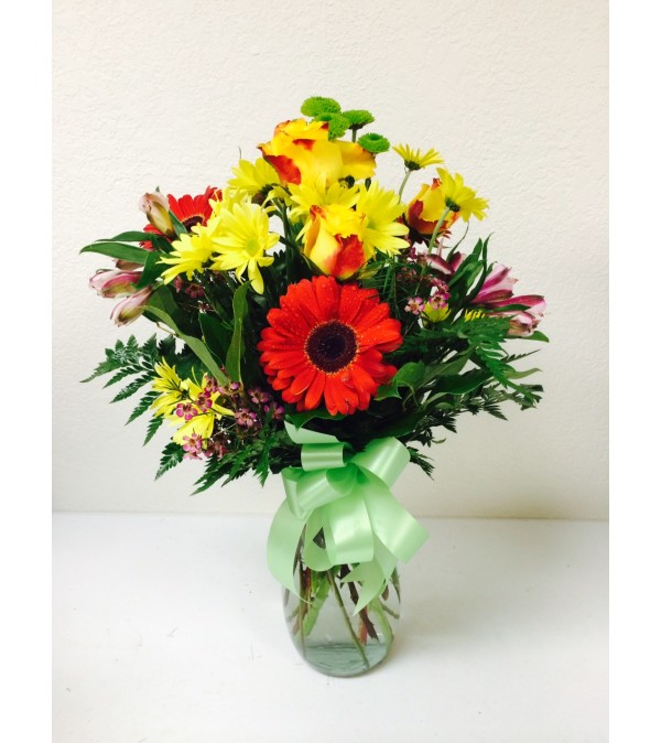 Gerbera Delight