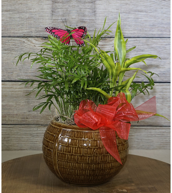 Prosper Blooms Garden