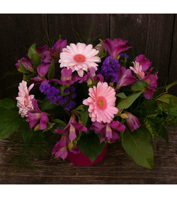 Special for You