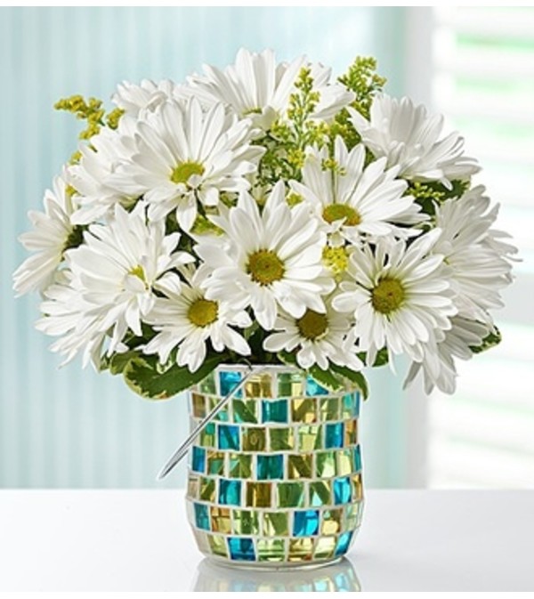 Daisy Garden™