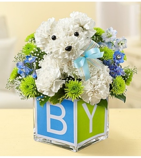 It’s a-DOG-able!™ - Boy