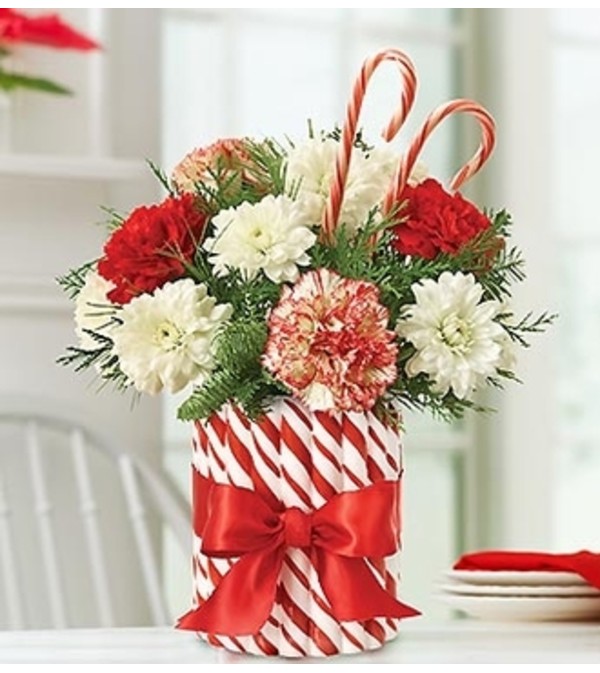 Candy Cane Christmas™