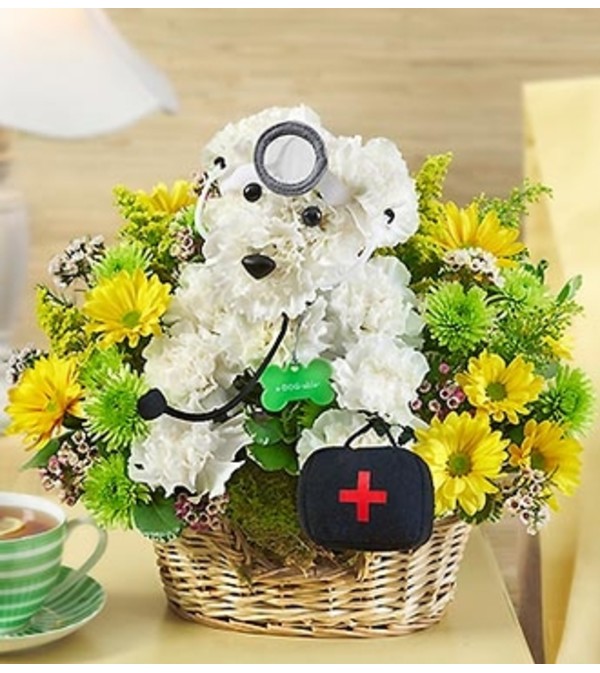 Doggie Howser M.D.™ 2015