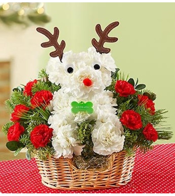 Santa’s Best Reindeer™
