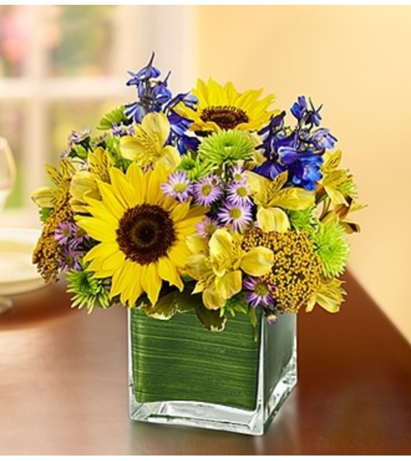Fields of Europe™ for Summer in Cube Vase
