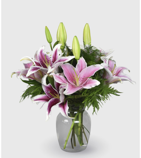 Lovely Lilies