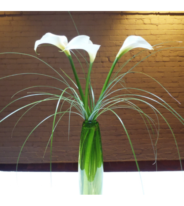 Callas in the Grass