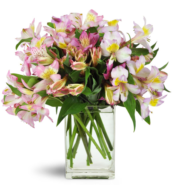 Lively Lilies™