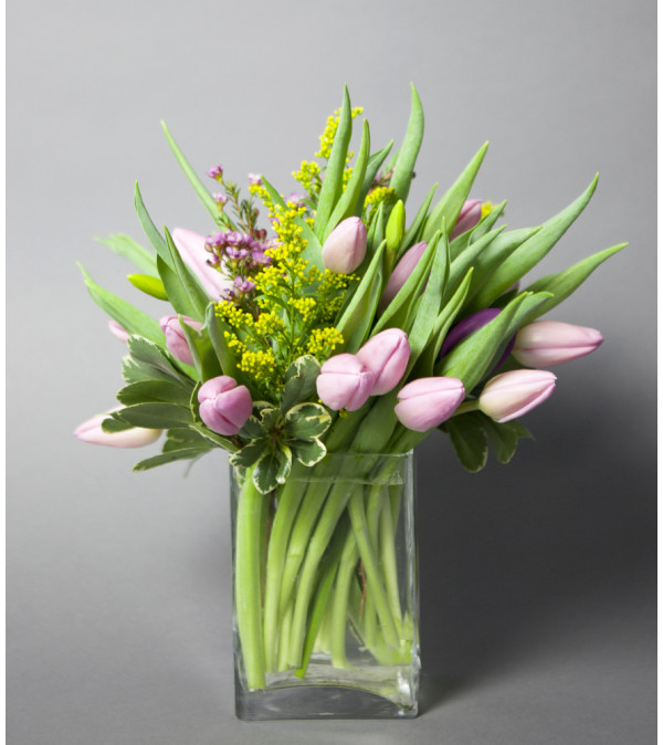 Tulips To Brighten Your Day