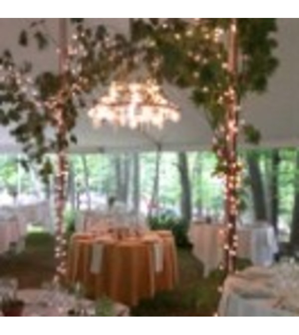 Mason Jar chandalier (rental)