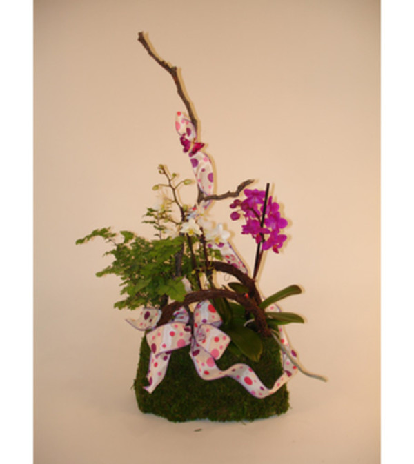 Mini Orchids in a Purse (Medium)