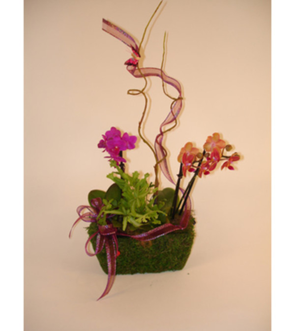 Mini Orchid Basket