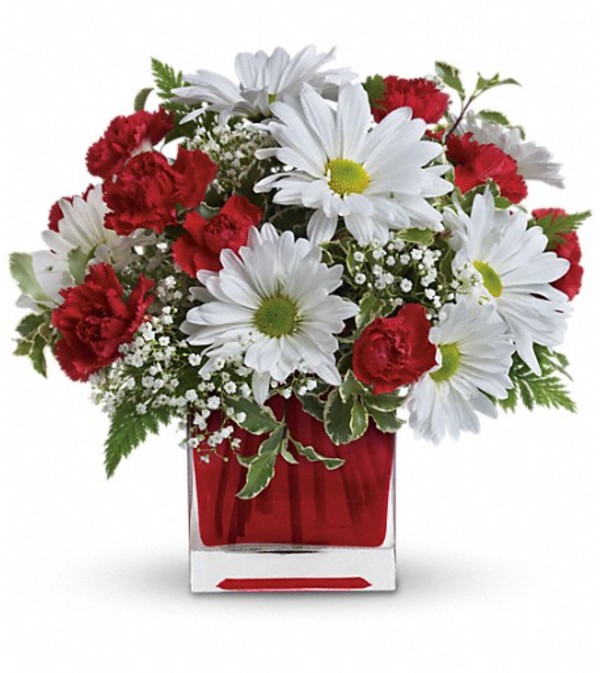 Red And White Delight by Teleflora
