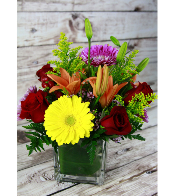 Colorful Surprise