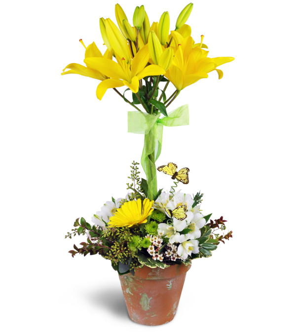 Happiness in Bloom™ Topiary