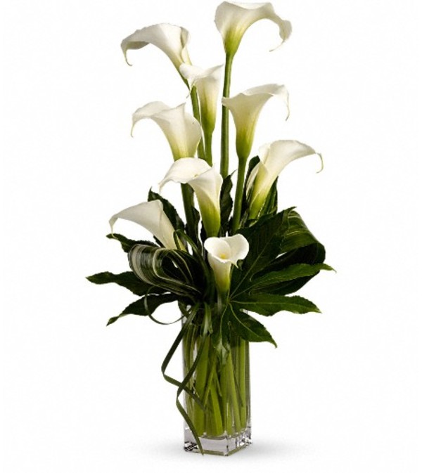 My Fair Lady by Teleflora