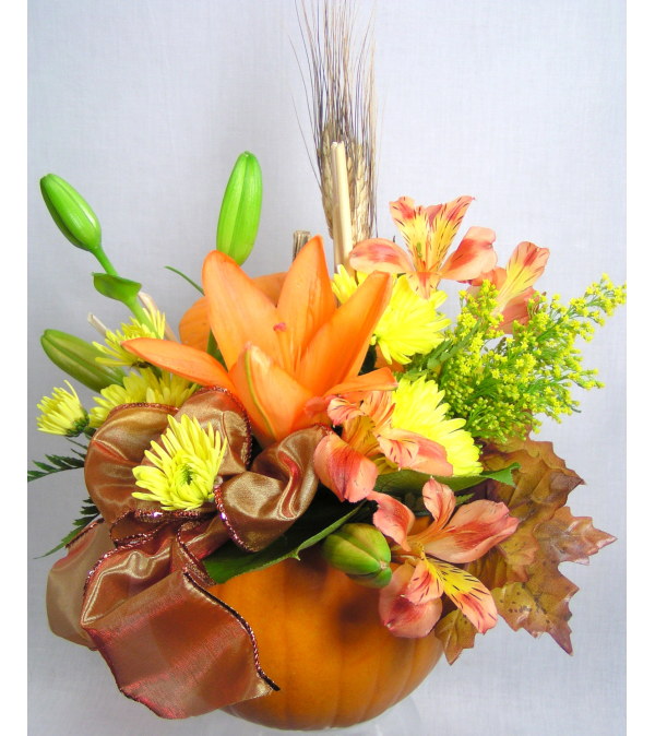Shades of Fall