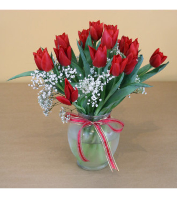 Whimsical Tulips