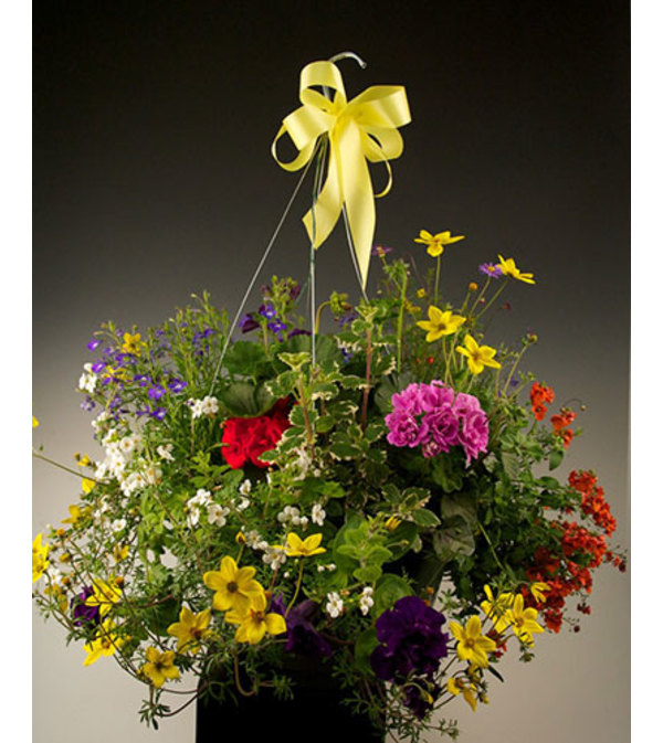 Outdoor Hanging Basket