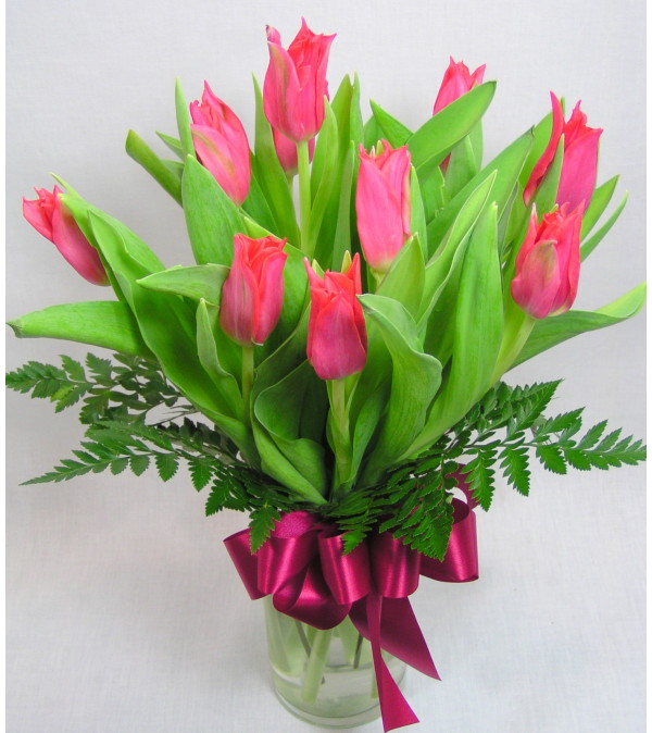 Tulip Breeze