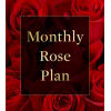 Monthly Rose Plan deluxe