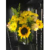 Sunflower yellow medley premium