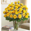 Yellow Roses premium