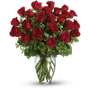 Red Roses Arranged premium