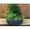 Green Plant Garden premium