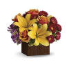 Full Of Laughter Bouquet premium