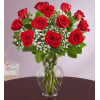Beautiful Long Stem Red Roses standard