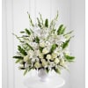 Morning Stars™ Arrangement premium