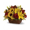 Golden Days Basket Blooms premium