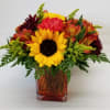 Changing Colors - Premium. An arrangement by Clemmons Florist Inc..