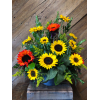 Sunflower Sunsation premium