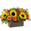 Happy Harvest Box - Premium. An arrangement by Fletcher Heights Florist.