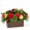 Christmas Cabin Box - Standard. An arrangement by Fletcher Heights Florist.