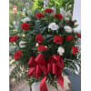 Sending love in Red and White Sympathy Basket standard