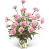 Pretty in Pink Carnations 2022 premium