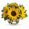 Sunny Sunflowers Bouquet standard