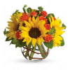 Sunny Sunflowers Bouquet deluxe